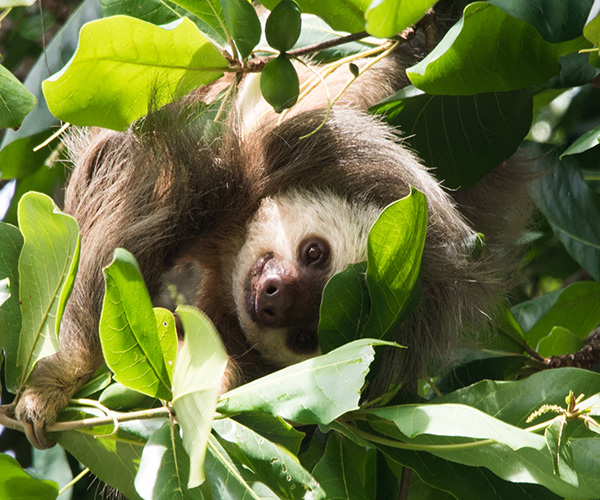 5 reasons to visit Untamed Costa Rica